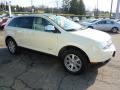 2007 Creme Brulee Metallic Lincoln MKX AWD  photo #6