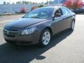 2011 Taupe Gray Metallic Chevrolet Malibu LS  photo #4