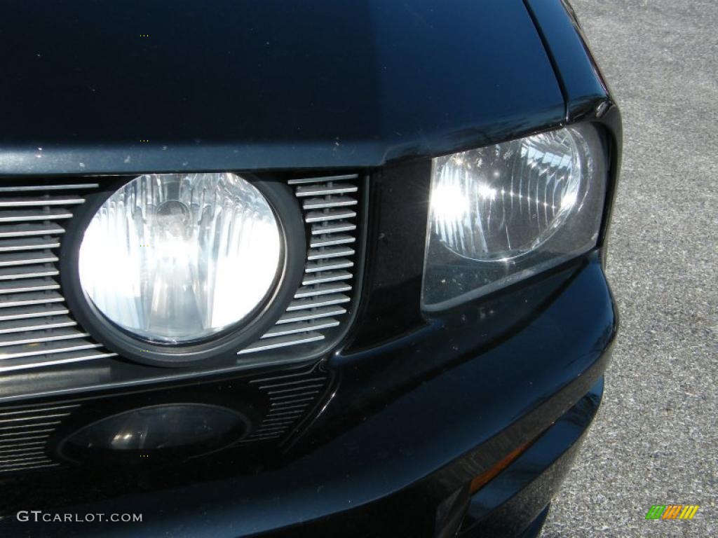 2005 Mustang GT Premium Coupe - Black / Light Graphite photo #9