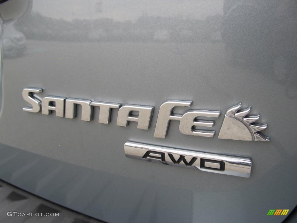 2009 Santa Fe GLS 4WD - Platinum Sage / Gray photo #6
