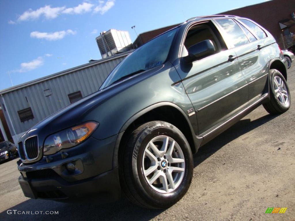 2006 X5 3.0i - Highland Green Metallic / Beige photo #1