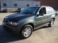 2006 Highland Green Metallic BMW X5 3.0i  photo #2