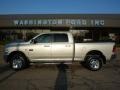 2010 Austin Tan Pearl Dodge Ram 2500 Big Horn Edition Crew Cab 4x4  photo #1