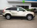 2007 Borrego Beige Metallic Honda CR-V EX  photo #2