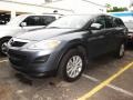 Dolphin Gray Mica - CX-9 Sport Photo No. 4