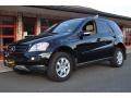 Black - ML 350 4Matic Photo No. 1