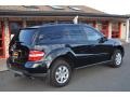 Black - ML 350 4Matic Photo No. 3