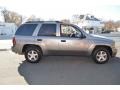 Graystone Metallic - TrailBlazer LS 4x4 Photo No. 34