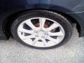 Carbon Gray Pearl - TSX Sedan Photo No. 13