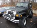 Black - Wrangler Sahara 4x4 Photo No. 5