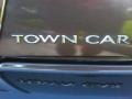 Charcoal Beige Metallic - Town Car Signature Photo No. 9