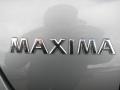Precision Gray Metallic - Maxima 3.5 SE Photo No. 9