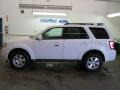 2009 White Suede Ford Escape Limited V6 4WD  photo #14