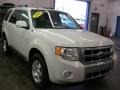 2009 White Suede Ford Escape Limited V6 4WD  photo #17