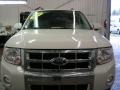 2009 White Suede Ford Escape Limited V6 4WD  photo #18