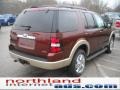 2010 Dark Copper Metallic Ford Explorer Eddie Bauer 4x4  photo #6