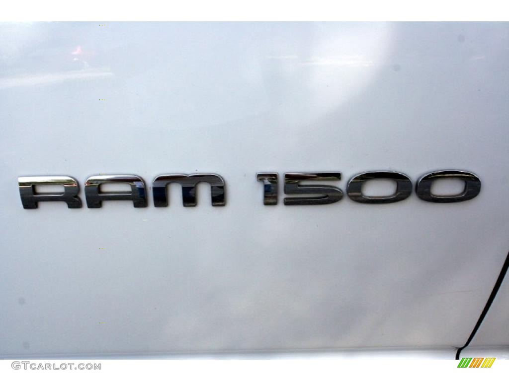 2004 Ram 1500 ST Quad Cab 4x4 - Bright White / Dark Slate Gray photo #23