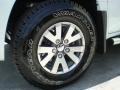 Arctic White - Raider LS Double Cab Photo No. 7