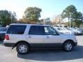 2004 Silver Birch Metallic Ford Expedition XLT 4x4  photo #6