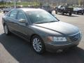 2007 Sage Green Metallic Hyundai Azera Limited  photo #4