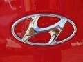 2011 Hyundai Genesis Coupe 3.8 R Spec Badge and Logo Photo