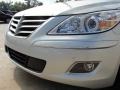 Platinum Metallic - Genesis 4.6 Sedan Photo No. 9