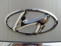 Platinum Metallic - Genesis 4.6 Sedan Photo No. 14