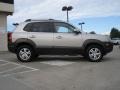 Sahara Silver - Tucson GLS V6 Photo No. 2