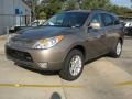 Driftwood Metallic 2011 Hyundai Veracruz GLS Exterior