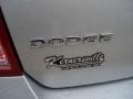 Bright Silver Metallic - Charger SXT Photo No. 29