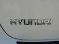 2011 Stone White Hyundai Veracruz GLS  photo #14