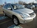 Millinnium Silver Metallic - RX 330 AWD Photo No. 3