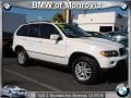Alpine White - X5 3.0i Photo No. 1