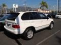 Alpine White - X5 3.0i Photo No. 8