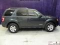 2008 Tungsten Grey Metallic Ford Escape Hybrid  photo #4