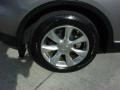 2008 Platinum Graphite Gray Infiniti EX 35  photo #4