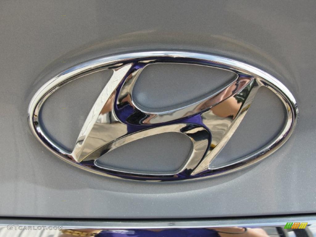 2011 Sonata GLS - Iridescent Silver Blue Metallic / Gray photo #15