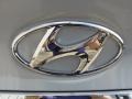 Iridescent Silver Blue Metallic - Sonata GLS Photo No. 15