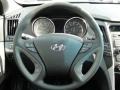 Iridescent Silver Blue Metallic - Sonata GLS Photo No. 30