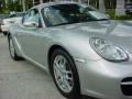 Arctic Silver Metallic - Cayman  Photo No. 2