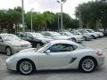 Arctic Silver Metallic - Cayman  Photo No. 9