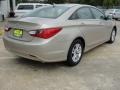 Camel Pearl - Sonata GLS Photo No. 3