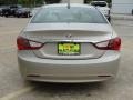 Camel Pearl - Sonata GLS Photo No. 4