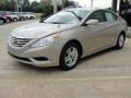 Camel Pearl - Sonata GLS Photo No. 7