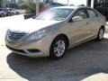 Camel Pearl - Sonata GLS Photo No. 7