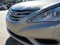 Camel Pearl - Sonata GLS Photo No. 9