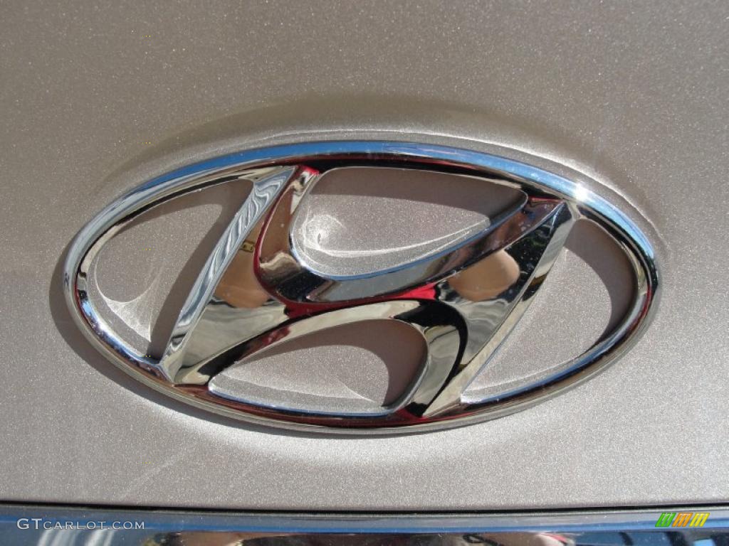 2011 Sonata GLS - Camel Pearl / Camel photo #15