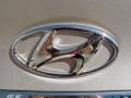 Camel Pearl - Sonata GLS Photo No. 15