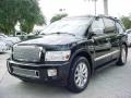 Liquid Onyx Black - QX 56 Photo No. 15