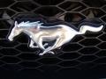 2005 Ford Mustang V6 Deluxe Convertible Badge and Logo Photo